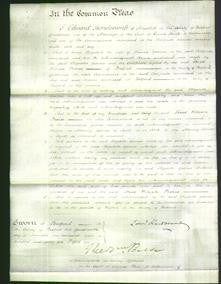 Court of Common Pleas - Elizabeth Yarrow-Original Ancestry