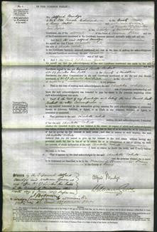 Court of Common Pleas - Charlotte White-Original Ancestry