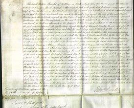 Court of Commonn Pleas - Mary Argent Turner-Original Ancestry