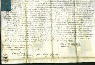 Court of Common Pleas - Mary Ann Courtney-Original Ancestry