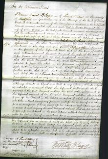 Court of Common Pleas - Margaret Moxon-Original Ancestry