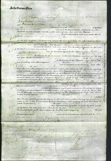 Court of Common Pleas - Maria Wilcox-Original Ancestry