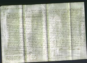 Court of Common Pleas - Rebecca Martha Harmer-Original Ancestry