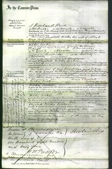 Court of Common Pleas - Elizabeth Wilkes Jackson-Original Ancestry