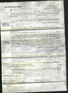 Court of Common Pleas- Mary Thompson-Original Ancestry