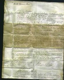 Court of Common Pleas - Ann Crowhurst and Mary Crowhurst-Original Ancestry