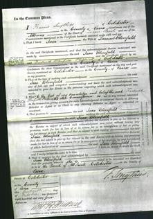 Court of Common Pleas - Jane Blomfield-Original Ancestry