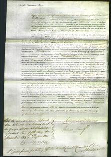 Court of Common Pleas - Margaret Dixon-Original Ancestry