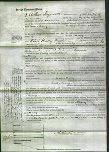 Court of Common Pleas - Mary Martin-Original Ancestry