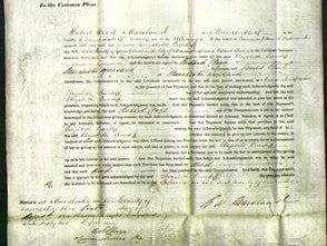 Court of Common Pleas - Elizabeth Cundiff-Original Ancestry