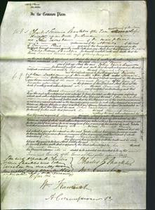 Court of Common Pleas - Hannah Maria Mayne-Original Ancestry