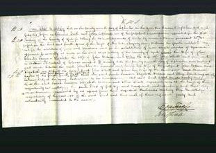 Deed by Married Women - Sarah Sumner, Elizabeth Hobson and Ellen Elliott-Original Ancestry
