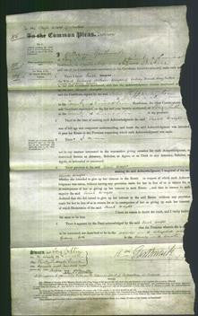 Court of Common Pleas - Sarah Wright-Original Ancestry