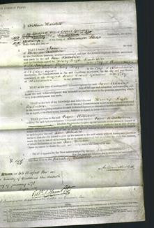 Court of Common Pleas - Jane Wiltshire-Original Ancestry