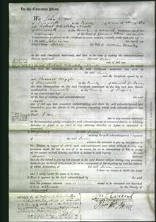 Court of Common Pleas - Susan Thawley-Original Ancestry