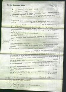 Court of Common Pleas - Jane Barbara Chichester-Original Ancestry