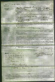 Court of Common Pleas - Laura Georgiana Cooper-Original Ancestry