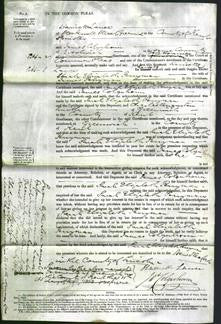Court of Common Pleas - Sarah Elizabeth Perryman-Original Ancestry