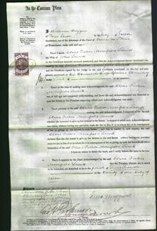 Court of Common Pleas - Clara Fisher Merrifield Lowick-Original Ancestry