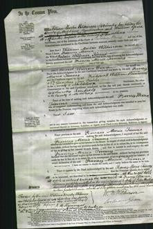 Court of Common Pleas - Frances Maria Timms-Original Ancestry