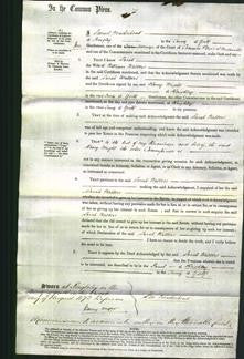 Court of Common Pleas - Sarah Walters-Original Ancestry