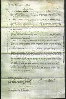 Court of Common Pleas - Rebecca Naylor-Original Ancestry