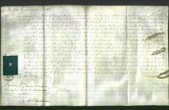 Court of Common Pleas - Pamela Hillier-Original Ancestry