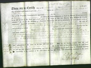 Deed by Married Women - Mary Hughes, Elizabeth Williams, Frances Rees and Anne Rees-Original Ancestry