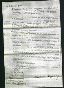 Court of Common Pleas - Mary Ann Sheffield-Original Ancestry