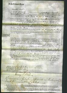 Court of Common Pleas - Martha Penny-Original Ancestry