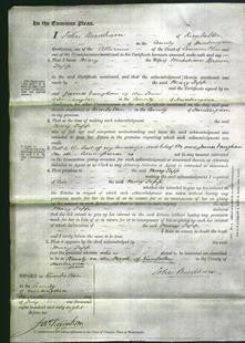 Court of Common Pleas - Mary Tapp-Original Ancestry