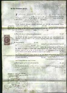 Court of Common Pleas - Jane Lowther-Original Ancestry