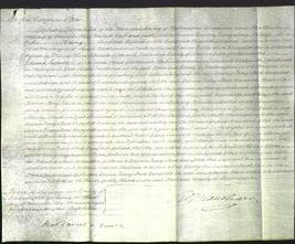 Court of Common Pleas - Urania Mary Anne Campbell-Original Ancestry