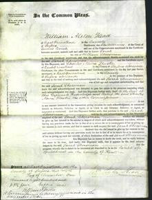 Court of Common Pleas - Sarah Cheesman-Original Ancestry