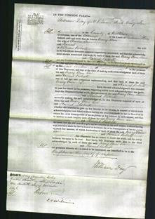 Court of common Pleas - Mary Ann Lee and Harriet Roberts-Original Ancestry