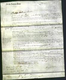 Court of Common Pleas - Dorothy Naters-Original Ancestry