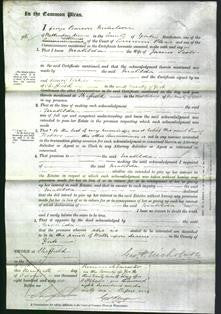 Court of Common Pleas - Matilda Scott-Original Ancestry