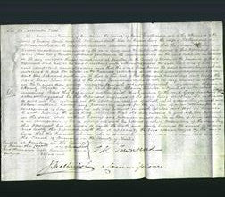 Court of Common Pleas - Lucy Michell-Original Ancestry