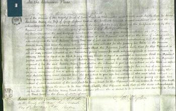 Court of Common Pleas - Isabella Mary Wood-Original Ancestry