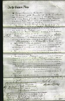 Court of Common Pleas - Mary Bittcliff-Original Ancestry