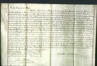 Court of Common Pleas - Bessy Elliot-Original Ancestry