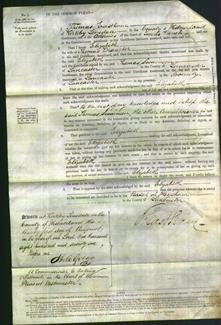 Court of Common Pleas - Elizabeth Brancher-Original Ancestry