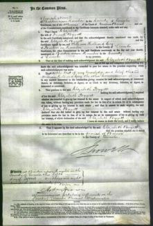 Court of Common Pleas - Elizabeth Bygott-Original Ancestry