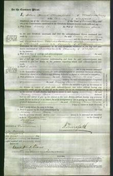 Court of Common Pleas - Mary Ann Lowe-Original Ancestry