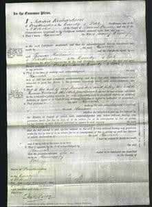 Court of Common Pleas - Hannah Crosby-Original Ancestry