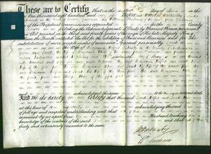 Deed by Married Women - Sarah Wilford and Sarah White-Original Ancestry