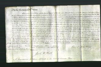 Court of Common Pleas - Jane Wright and Frances Wright-Original Ancestry