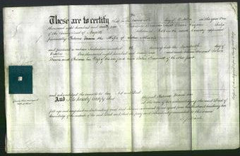 Deed by Married Women - Rebecca Maris-Original Ancestry