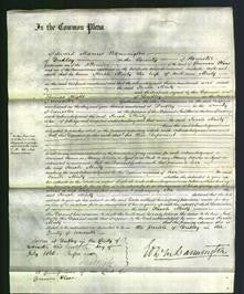 Court of Common Pleas - Sarah Minty-Original Ancestry