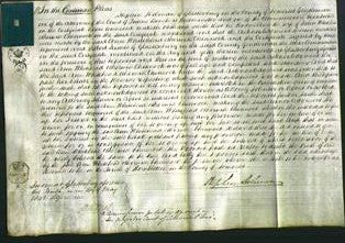 Court of Common Pleas - Ann Whitehead Chinnock-Original Ancestry